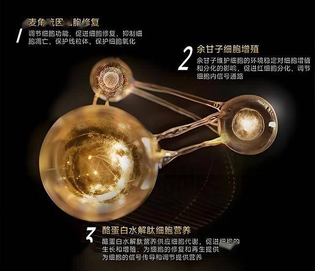 外汇xm平台怎么样新型仿生膝与患者“贴身”组合